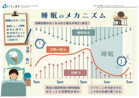 睡眠中|睡眠のメカニズム 